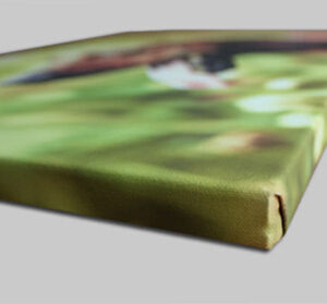 (Копія)(Копія)(Копія)Кроха жираф. Сток