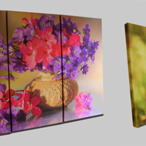 (Копія)Кроха жираф. Сток